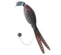 HDBHSBE Bird Lancener Dog Training Simulated Turkey Dummy Laumy Dog Training Bite Mite Toys Toys Fun Pet Interactive Hunting Retriever Accessories Bumper