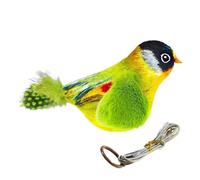 HDBHSBE Jouet de Chat d'oiseau battant avec Un Jouet de Chat d'oiseau gazouillis réaliste pour Les Chats intérieurs ennuyés touchent l'interactif activé pour Toutes Les Races Kicker Catnip