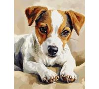 Hdfvlfdsa Kit De Broderie Au Point De Croix Estampillé À Faire Soi-Même, Jack Russell Terrier 40X50Cm Gamme Complète De Kits De Dé Marrage Pour Débutants Pré-Imprimés