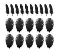 HDGSAFD 10 Morceaux De Plumes D'Autruche Et 10 Morceaux De Plumes d'oie, Plumes Noires, Plumes Faites À La Main, Ornements De Plumes.