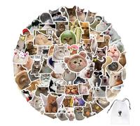 HDGSAFD 100 autocollants chat, sac de rangement transparent, autocollants imperméables, mignons, pour cahiers, bagages, skateboards