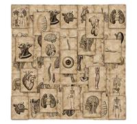 HDGSAFD 112 Feuilles D'Autocollants Squelette Humain, Autocollants D'Étudiant en Médecine pour La Décoration, Autocollants De Décoration pour Scrapbooking, Autocollants Imperméables