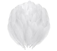HDGSAFD 500 Plumes Blanches, Matériaux De Bricolage, Plumes Décoratives, Peuvent Être Utilisées pour Les Couvre-Chefs, Les Vêtements, Les Masques, Les Bouquets, Etc.