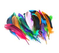 HDGSAFD Lot de 50 plumes colorées, tiges à plumes, décoration artistique de plumes, plumes mélangées naturelles, artisanat, accessoires de bijoux, décoration de bricolage