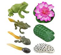 HDGSAFD Modèle de cycle de vie de grenouille 5 pièces avec 1 modèle de feuille de lotus et 1 modèle de fleur de lotus, jouet de cycle de croissance de grenouille, modèle animal de simulation, outil