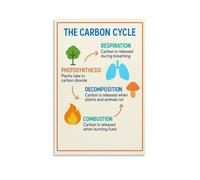 HDKYSWBUEJ Ecology Education Poster - Understanding The Carbon Cycle, Detailed Diagram Wall Decor for Homeschool, Classroom, Science (Framed,16x24inch(40x60cm))