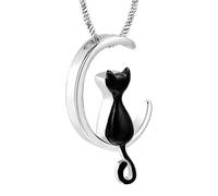 HDOYTXXM Collier commémoratif robuste en acier inoxydable pour animaux de compagnie, en forme de lune, pour un souvenir éternel des chats et des chiens bien-aimés, de perte d ' animaux de compagnie