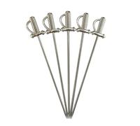 HDOYTXXM Lot de 5 brochettes à cocktail en acier inoxydable avec design, pics à fruits inoxydables et boîte de rangement pour apéritifs, brochettes de fête