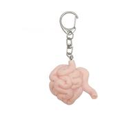 HDOYTXXM Porte-clés au design réaliste avec organes vitaux Idéal pour les adultes tendance à la recherche d'un souvenir pour s'apprécier de manière plus réaliste Porte-clés, Small Intestine, taille