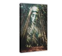 HDSDA Poster sur toile Mary in the Forest - Décoration pour chambre à coucher, bureau, chambre - Cadeau - 60 x 90 cm