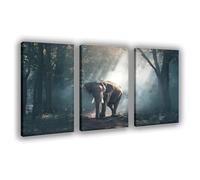 HDSDA Poster sur toile représentant un éléphant solitaire, pour décoration de chambre à coucher, bureau, chambre, cadeau, 30 x 45 cm