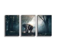 HDSDA Poster sur toile représentant un éléphant solitaire, pour décoration de chambre à coucher, bureau, chambre, cadeau, 40 x 60 cm