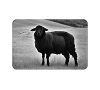 HDSKFNS Tapis de porte imprimé mouton mignon agneau, tapis d'entrée tapis de sol pour porche, salle de bain, buanderie, tapis de sol