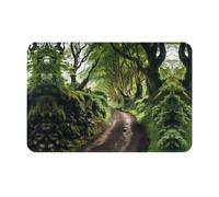 HDSKFNS Tapis d'entrée imprimé haies foncées Irlande du Nord pour porche, salle de bain, buanderie, tapis de sol