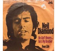 He Ain't Heavy ... He's My Brother [Vinyl Single 7'']