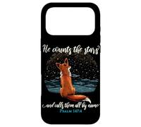 He Counts The Stars and Calls Them All by Name Psalm 147:4 Coque pour iPhone 17 Pro Max
