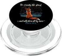 He Counts The Stars and Calls Them All by Name Psalm 147:4 PopSockets PopGrip pour MagSafe