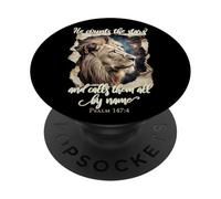 He Counts The Stars Psalm 147:4 Lion PopSockets PopGrip Adhésif