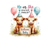 He or She Highland Cow Gender Reveal Hardcover Guest Book - Rustic Baby Shower Memory Keepsake: Country Farm Theme Baby Shower Sign-In Book with Space ... - Boy or Girl Reveal Party Keepsake