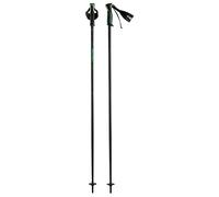 HEAD Bâtons de Ski Frontside Skistöcke Unisexe-Adulte, Vert Noir, 105