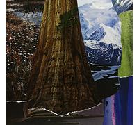 Head Boggle - Head Boggle [Import]