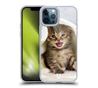 Head Case Designs Chaton dans Serviette Chaude Chats Coque en Gel [Protection de Qualité Militaire] Compatible avec Apple iPhone 12 Pro Max Et Compatible avec MagSafe