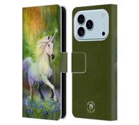 Head Case Designs sous Licence Officielle Anne Stokes Chase The Rainbow Fantaisie 2 Étui Portefeuille en Cuir Compatible avec Apple iPhone 17 Pro