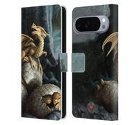 Head Case Designs sous Licence Officielle Anne Stokes Trésors d'or Dragons Étui Portefeuille en Cuir Compatible avec Google Pixel 10 Pro XL
