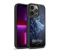 Head Case Designs sous Licence Officielle Harry Potter Ron Weasley Sorcerer's Stone II Coque en Gel renforcée [Protection de Qualité Militaire] Compatible avec Apple iPhone 13 Pro