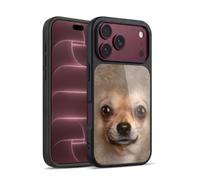 Head Case Designs sous Licence Officielle Vincent HIE Chihuahua Chiens À Grosse Tête Coque en Gel renforcée [Protection de Qualité Militaire] Compatible avec Apple iPhone 18 Pro