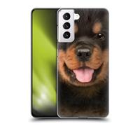 Head Case Designs sous Licence Officielle Vincent HIE Rottweiler Chiots Big Face Coque Dure pour l'arrière Compatible avec Samsung Galaxy S21 5G