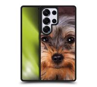 Head Case Designs sous Licence Officielle Vincent HIE Yorkshire Terrier Chiens À Grosse Tête Coque en Gel renforcée [Protection de Qualité Militaire] Compatible avec Samsung Galaxy S25 Ultra