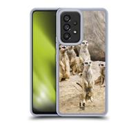 Head Case Designs Troupe De Suricate en État D'alerte Faune Coque en Gel [Protection de Qualité Militaire] Compatible avec Samsung Galaxy A53 5G (2022)