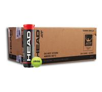 HEAD Championship 36x4 pièce (12 douzaines) Multicolore ONE-SIZE