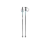 HEAD Frontside Black Blu Bâtons de Ski Unisexe, Speed Blue, 120