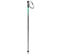 HEAD Frontside Black Green Bâtons de Ski Unisexe, Noir/Vert, 135