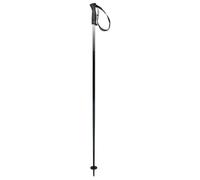 HEAD Frontside Black Grey Bâtons de Ski Unisexe, Noir/Gris, 110