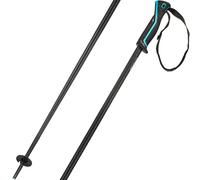 Head Frontside Poles Clair 110 cm