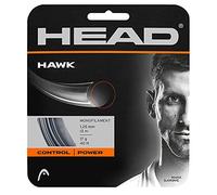 HEAD Hawk Cordage Pur Raquette Mixte Adulte, Gris, 17