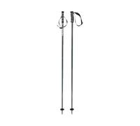 HEAD Multi Grey White Bâtons de Ski Unisexe, Gris/Blanc, 110