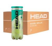 Head Padel Boîte d'une balle/ 24 paquets de 3 balles