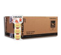 HEAD Tip Stage 3 Rouge 16x3 pièce (4 douzaines) Rouge ONE-SIZE