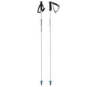 HEAD Unisexe - Adult Worldcup SL Bâtons de Ski Blanc 135