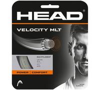 HEAD Velocity MLT Ensemble Naturel 1.25