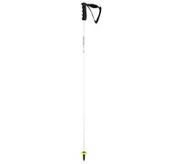 HEAD Worldcup Rebels Carbon Bâtons de Ski Adulte Unisexe, Noir/Blanc, 105