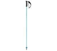 HEAD Worldcup Rebels Carbon Bâtons de Ski Unisexe, Speed Blue/Noir/Blanc, 140 cm