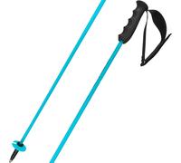 Head Worldcup Rebels Carbon speed blue/blk/white poles - 125 cm