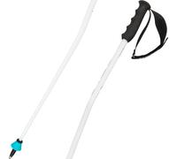 Head Worldcup SG wht/blk/speed blue poles - 115 cm