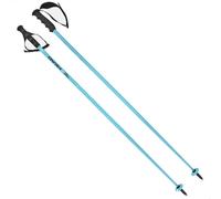 Head Worldcup SL Bâtons De Ski Aluminium Alpin Piste Bleu Turquoise