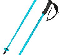 Head Worldcup Sl Poles Bleu 110 cm Homme,Femme